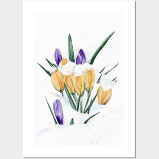 Crocus Posters and Art